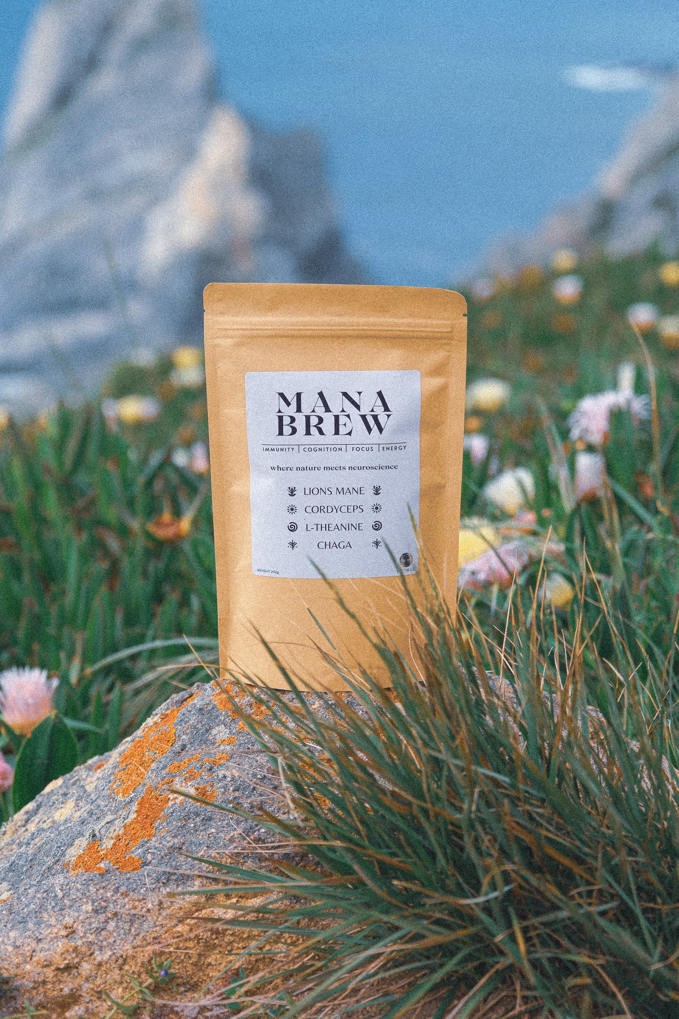 Mana Brew: The Mushroom Blend for Focus, Immunity & Energy