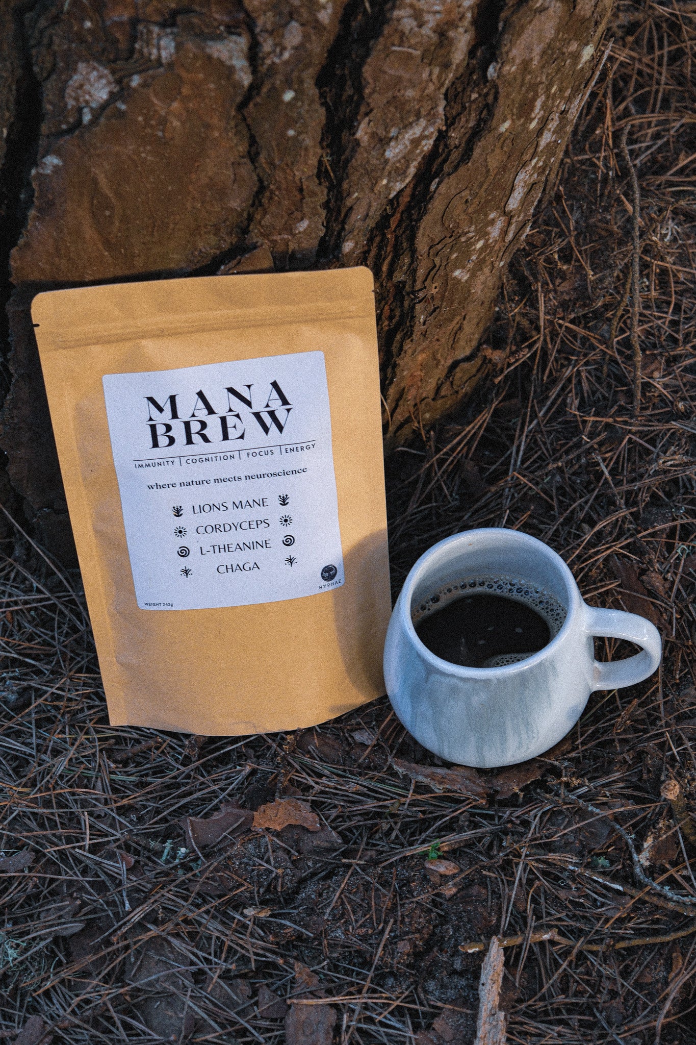 Mana Brew: The Mushroom Blend for Focus, Immunity & Energy